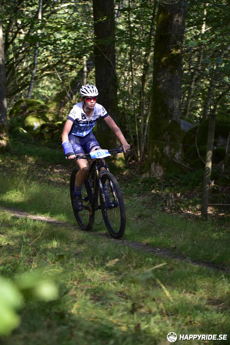 Bild från Bockstensturen 2019